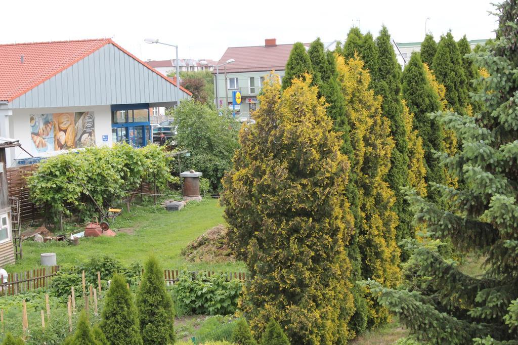 Apartament U Marzenki Augustów Dış mekan fotoğraf